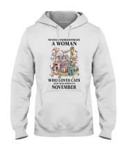 Cat Crazy Cat Lady11 PDN-DQH Hooded Sweatshirt front