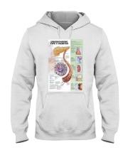 type 2 diabet pt lqt pml Hooded Sweatshirt tile