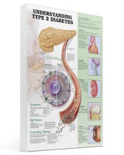 type 2 diabet pt lqt pml 16x24 Gallery Wrapped Canvas Prints front