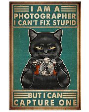 Cat Photograph I Can't Fix Stupid 11x17 Poster front