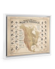 duck-america-pt-lqt-nna Floating Framed Canvas Prints White tile