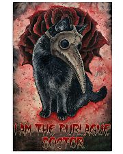 Cat Purlague Doctor PDN-DQH 24x36 Poster front