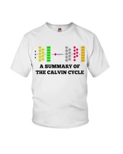 Biochemistry Calvin Cycle Photosynthesis lqt pml Youth T-Shirt tile