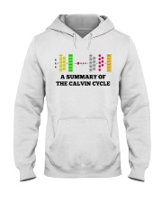 Biochemistry Calvin Cycle Photosynthesis lqt pml Hooded Sweatshirt tile