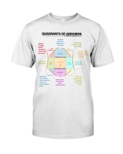 anatomy-quadrants-of-the-abdomen-lqt-pml Premium Fit Mens Tee tile