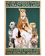 Dog Crazy Dog Lady Born In January 11x17 Poster front