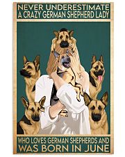 Crazy German Shepherd june 11x17 Poster front