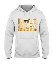Veterinarian cat skeleton anatomy pt mttn-nth Hooded Sweatshirt tile