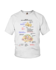 otology bony and membranous labyrinth lqt lbs Youth T-Shirt tile