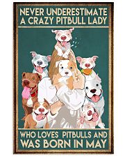 Crazy Pitbull Lady May 11x17 Poster front
