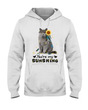 Cat - You are my sunshine Hooded Sweatshirt thumbnail