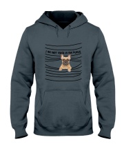 French Bulldog In The Blinds Hooded Sweatshirt thumbnail