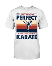 I May Not Be Perfect Karate Premium Fit Mens Tee tile