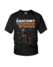 Dog Anatomy - Chesapeake Bay Retriever Youth T-Shirt tile