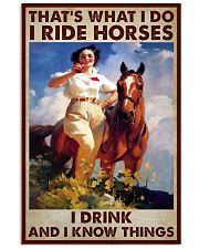 Horse That Is What I Do Poster 11x17 Poster front
