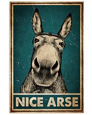 Donkey Nice Arse 11x17 Poster front