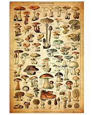 Mushroom Champignons 11x17 Poster front