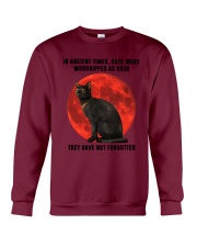 Cat In Ancient Times Crewneck Sweatshirt tile