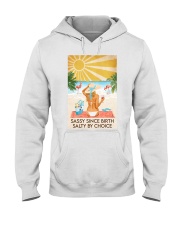 Ocean Sassy Since Birth Salty By Choice Hooded Sweatshirt tile
