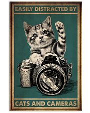 Cats And Cameras 16x24 Poster front