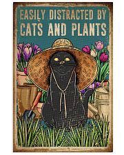 Cats And Plants 16x24 Poster front