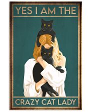 Cat Yes I Am The Crazy Cat Lady 16x24 Poster front