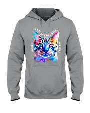 cats they will steal Hooded Sweatshirt thumbnail