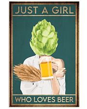 Beer Just A Girl 16x24 Poster front