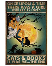 Books And Cats 16x24 Poster front