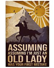 Horse I'm Just An Old Lady 16x24 Poster front