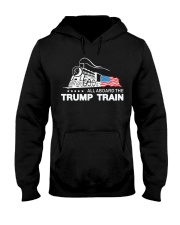 Limited Edition Hooded Sweatshirt thumbnail