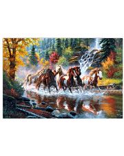 Horse Run 17x11 Poster front