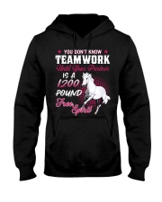 Horse Partner Hooded Sweatshirt front