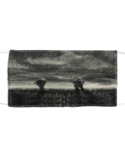 Am Cloth face mask front