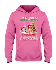 Pig I want to send you amazing gift for pig lover Hooded Sweatshirt tile