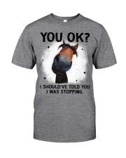 Horse i should've told you i was stopping - for horse lover Classic T-Shirt front