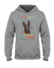 Dutch Shepherd Dog Attitude Really Hooded Sweatshirt tile
