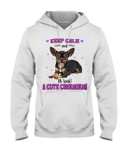 Oh look a cute Chihuahua - for Chihuahua lover Hooded Sweatshirt tile