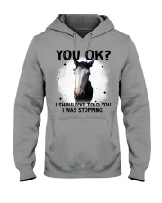 Horse i should've told you i was stopping cus - for horse lover Hooded Sweatshirt tile