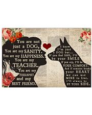 Australian Cattle Dog girl poster 24x16 Poster front