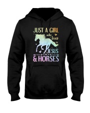 Jesus And Horses Hooded Sweatshirt tile