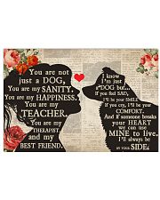 Border Collie girl poster 24x16 Poster front