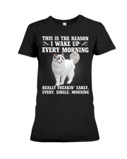 Ragdoll Cat this is the reason Premium Fit Ladies Tee tile
