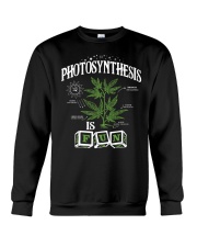 Photosynthesis Is Fun Crewneck Sweatshirt tile