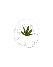 I'D SMOKE THAT CAN-NABIS Sticker tile