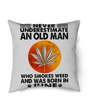 June Indoor Pillow tile
