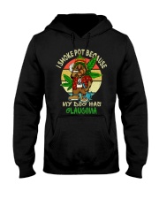 I smoke pot because my dog has glaucoma Hooded Sweatshirt front