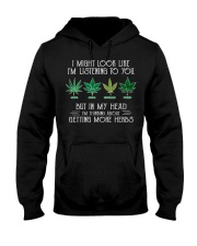 but-in-my-head-i-m-thinking-about-getting-more-herbs-weed Hooded Sweatshirt front