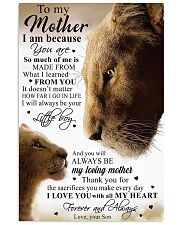 To My Mother TATA 11x17 Poster front