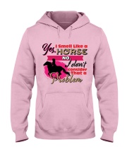 Horse Lover Hooded Sweatshirt front